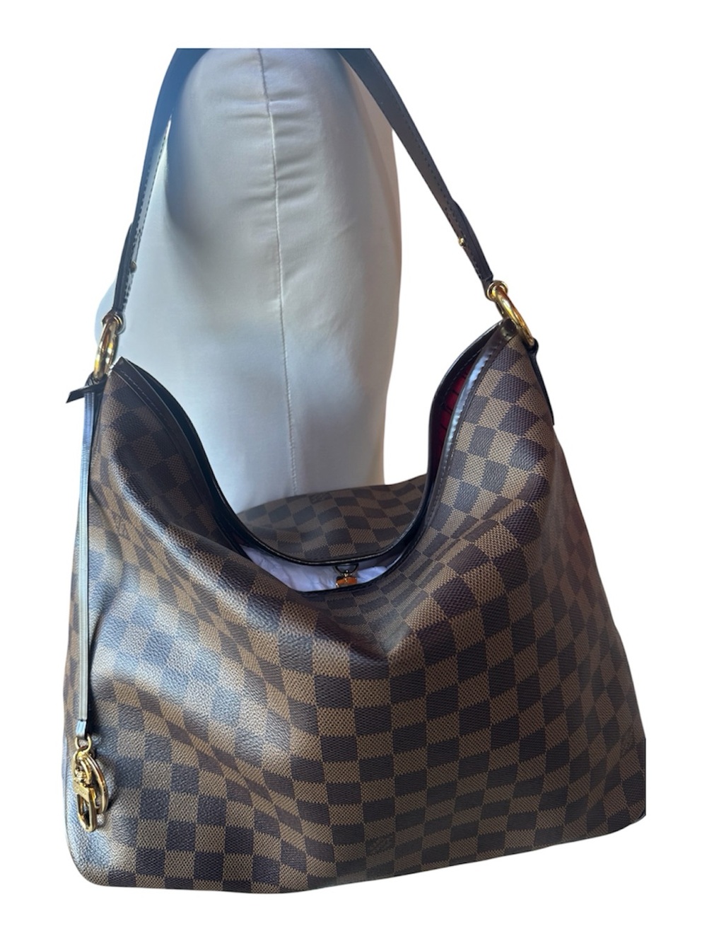Louis Vuitton Delightful Damien Ebene MM